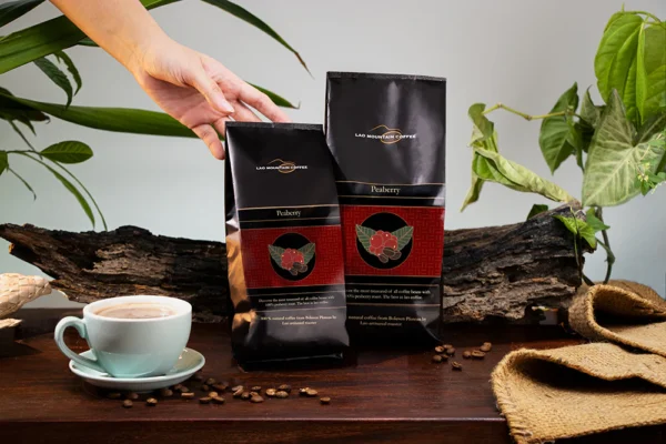 Premium Lao Coffee - Dark Roast